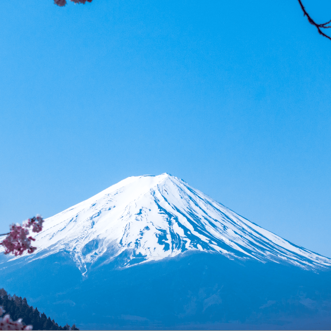 富士山 富士山